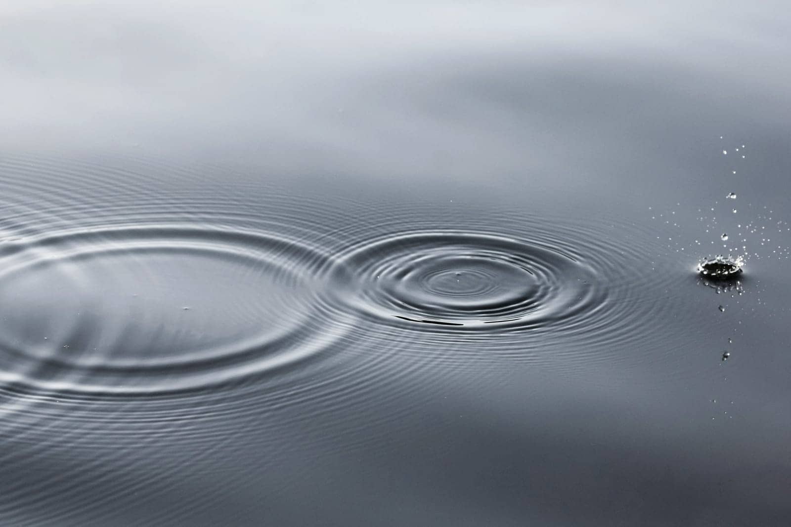 Ripples spreading across still water